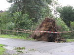 Auswirkung Tornado 2008 in Bötersen